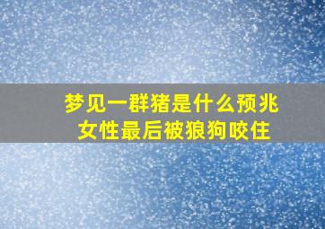 梦见一群猪是什么预兆 女性最后被狼狗咬住